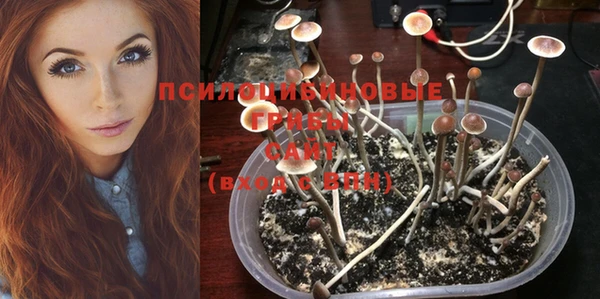 синтетический гашиш Горняк