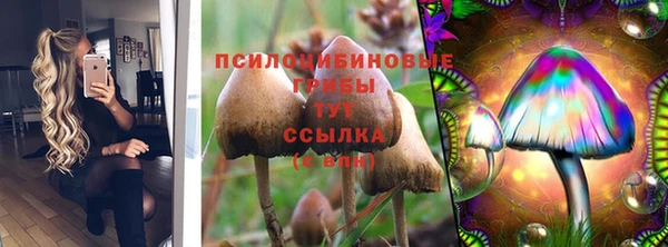 амф Горнозаводск