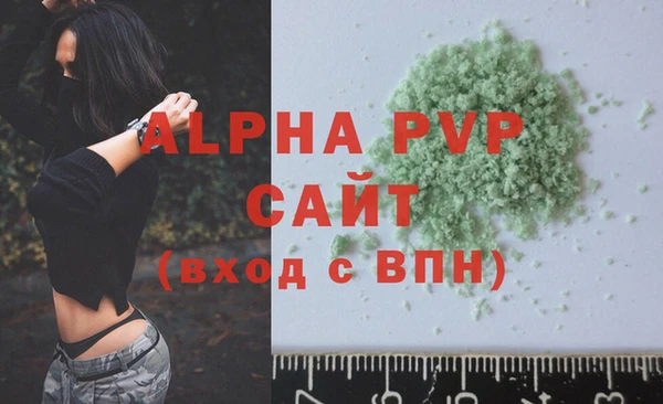 индика Гусиноозёрск