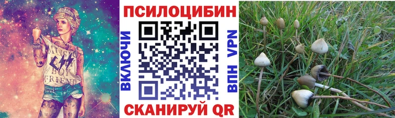 Галлюциногенные грибы GOLDEN TEACHER Заволжск